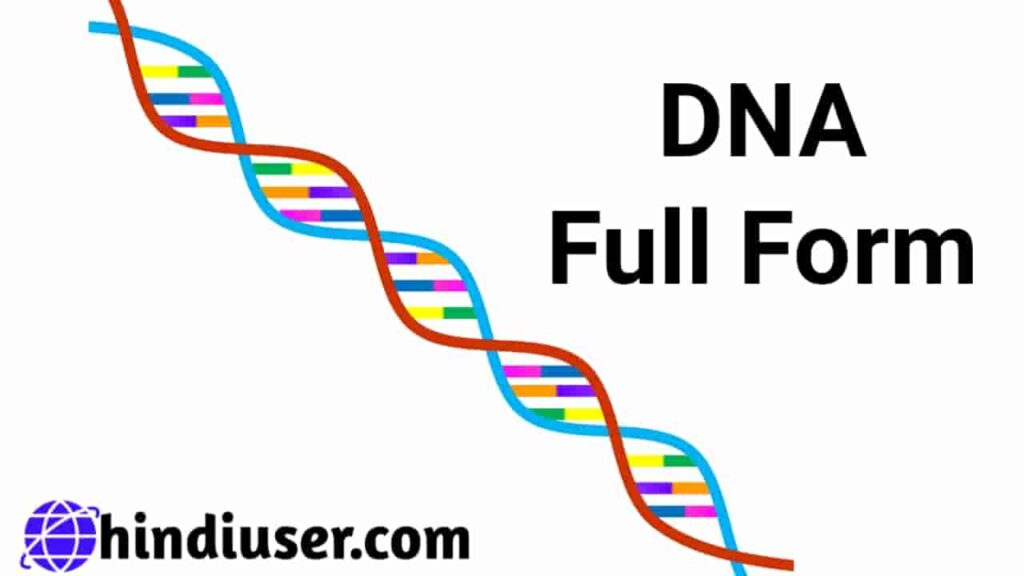 dna-ka-full-form-kya-hai-dna-kya-hai